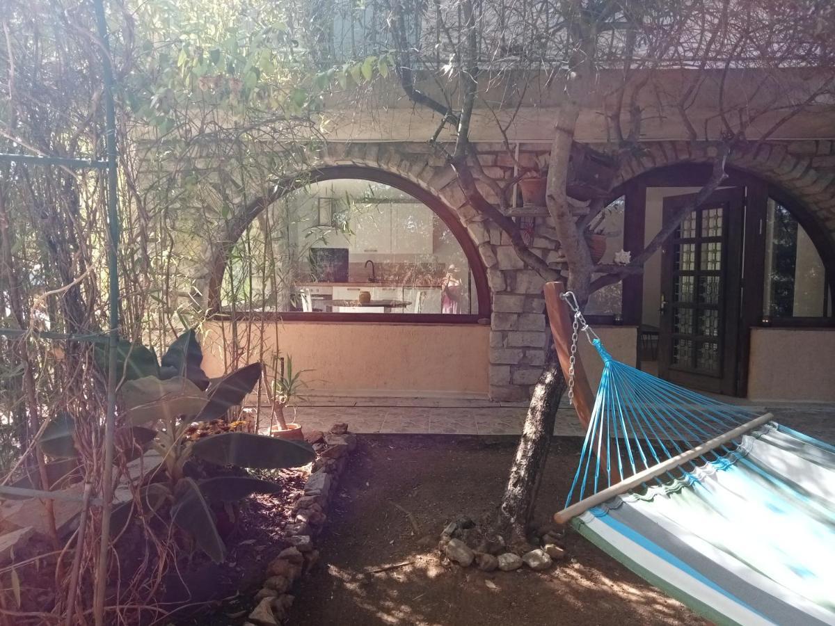 Bas De Villa Au Chant Des Cigales Lorgues Exterior photo